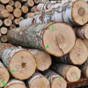Birch Round Logs