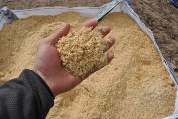 Sawdust